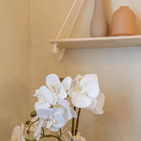 Le Petit Nid Etoile - Gare, Jardin Botanique, Wifi Evreux