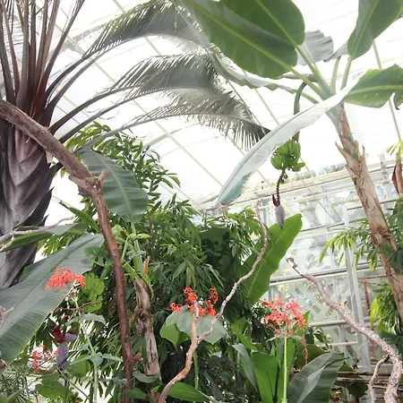 Le Petit Nid étoilé - Gare, Jardin Botanique, Wifi