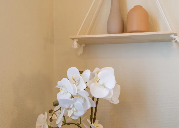 Le Petit Nid Etoile - Gare, Jardin Botanique, Wifi Эврё