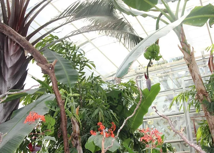 Le Petit Nid Etoile - Gare, Jardin Botanique, Wifi